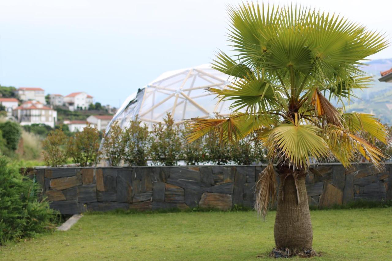 Quinta Das Fontainhas Mesão Frio Exteriör bild