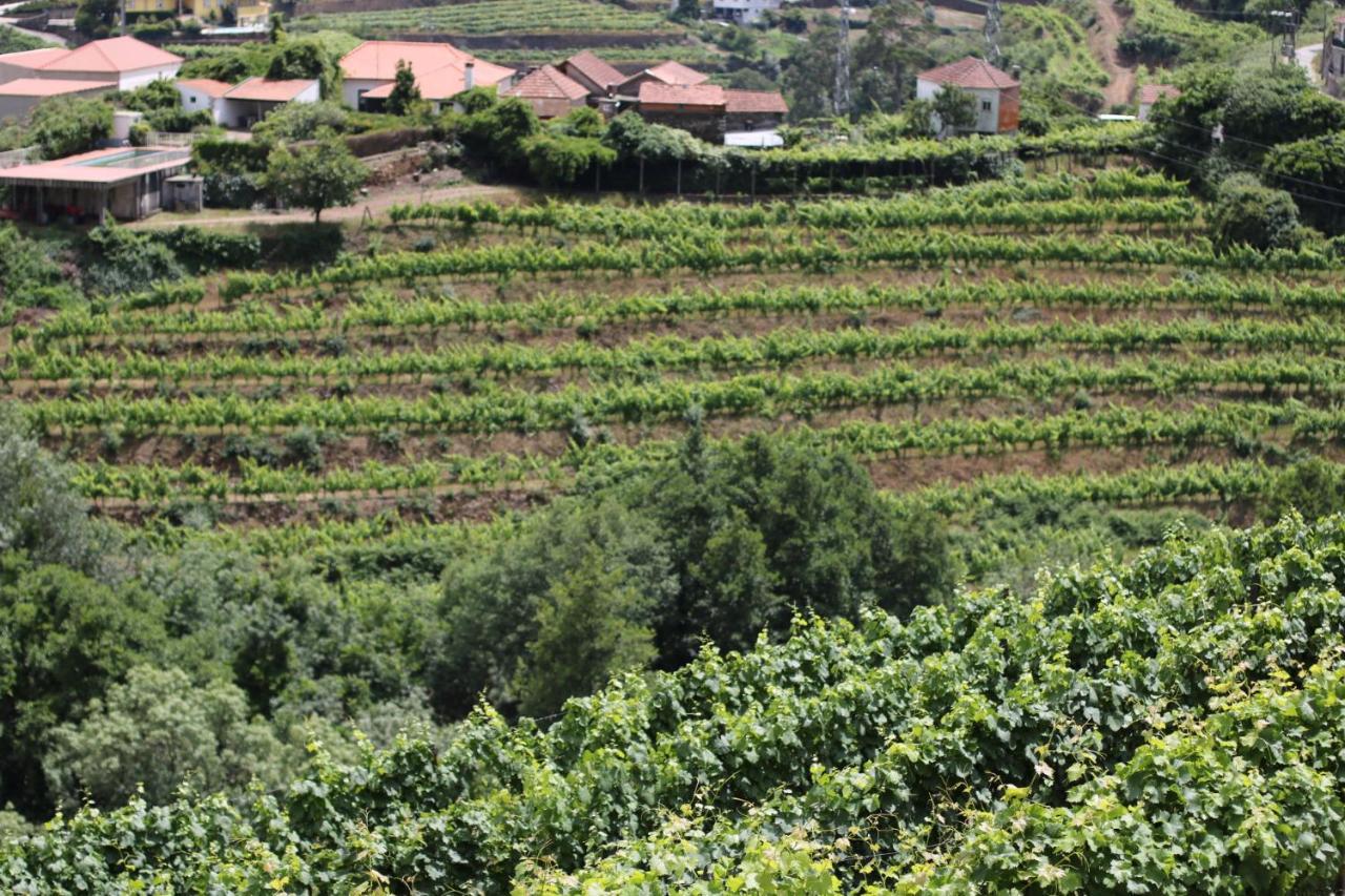 Quinta Das Fontainhas Mesão Frio Exteriör bild